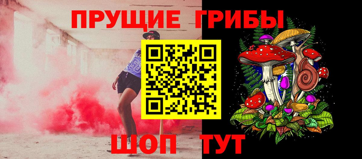 что такое   Вход с VPN  Красный Сулин  Псилоцибиновые грибы Psilocybine cubensis 